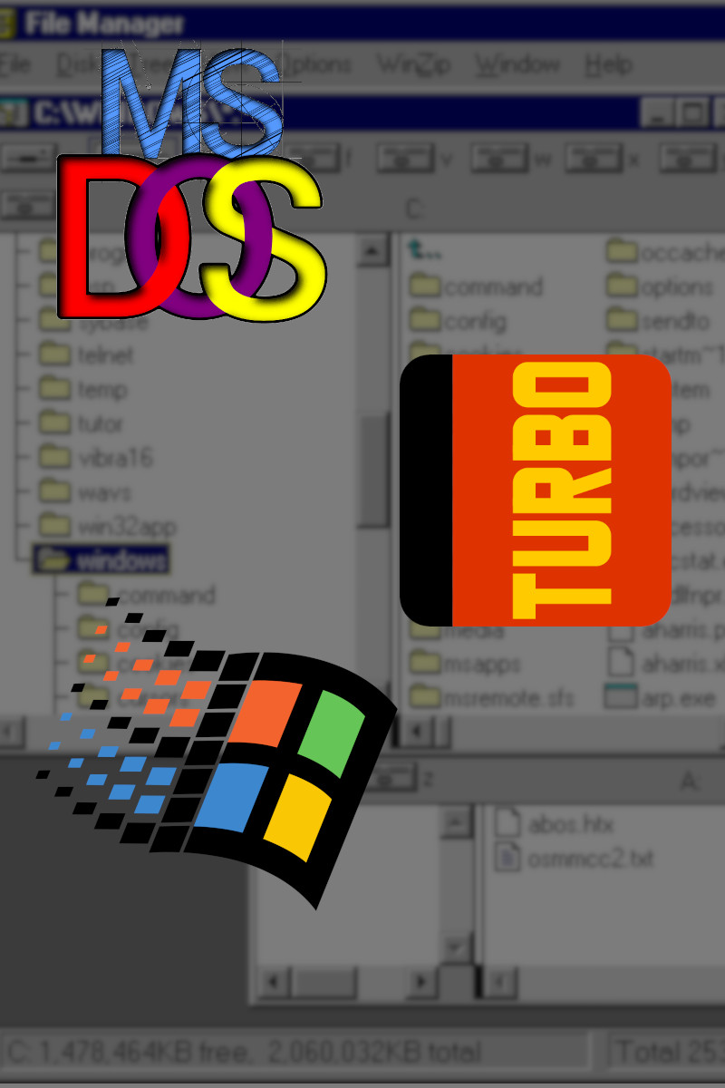 MS-DOS, Turbo Pascal, Windows 95